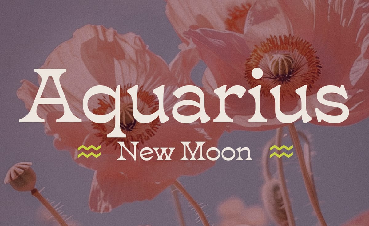 Your Guide to the 🌚 Aquarius New Moon ♒