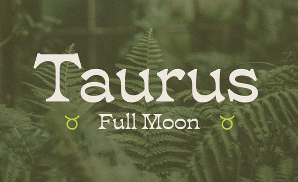 Your Guide to the 🌕 Taurus Full Moon ♉